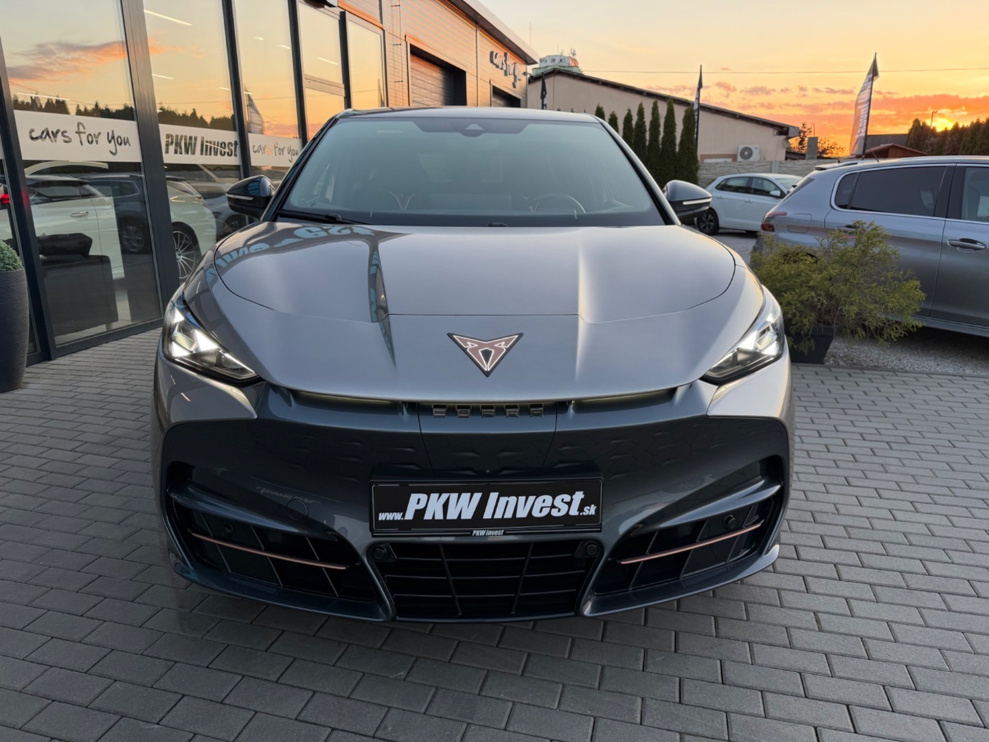 Cupra Tavascan VZ 4Drive 82kWh *ZÁRUKA*TEPELKO*