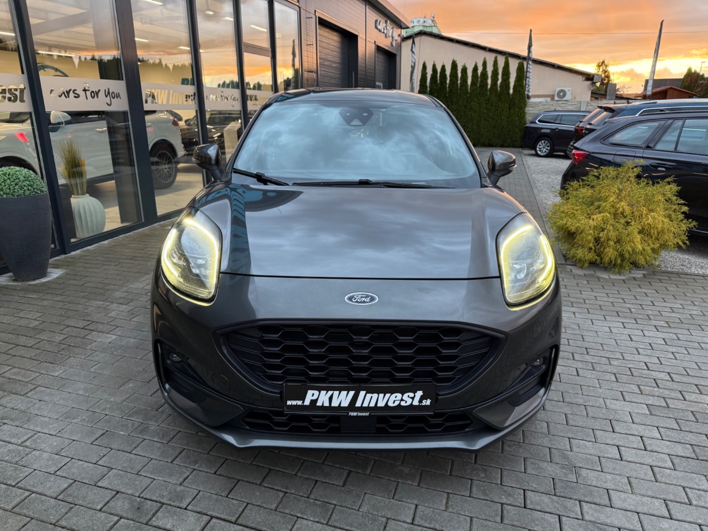 Ford Puma EcoBlue TDCI 120 ST-Line X