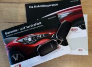 Kia E-Soul Soul ECOelectric 150kW/64kWh A/T TEPELKO*ZÁRUKA