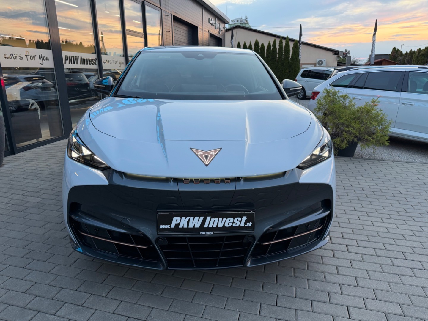 Cupra Tavascan Endurance 210kW 2WD *ZÁRUKA+SOH 100%*