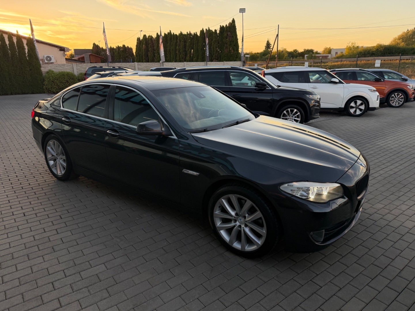 BMW Rad 5 520d