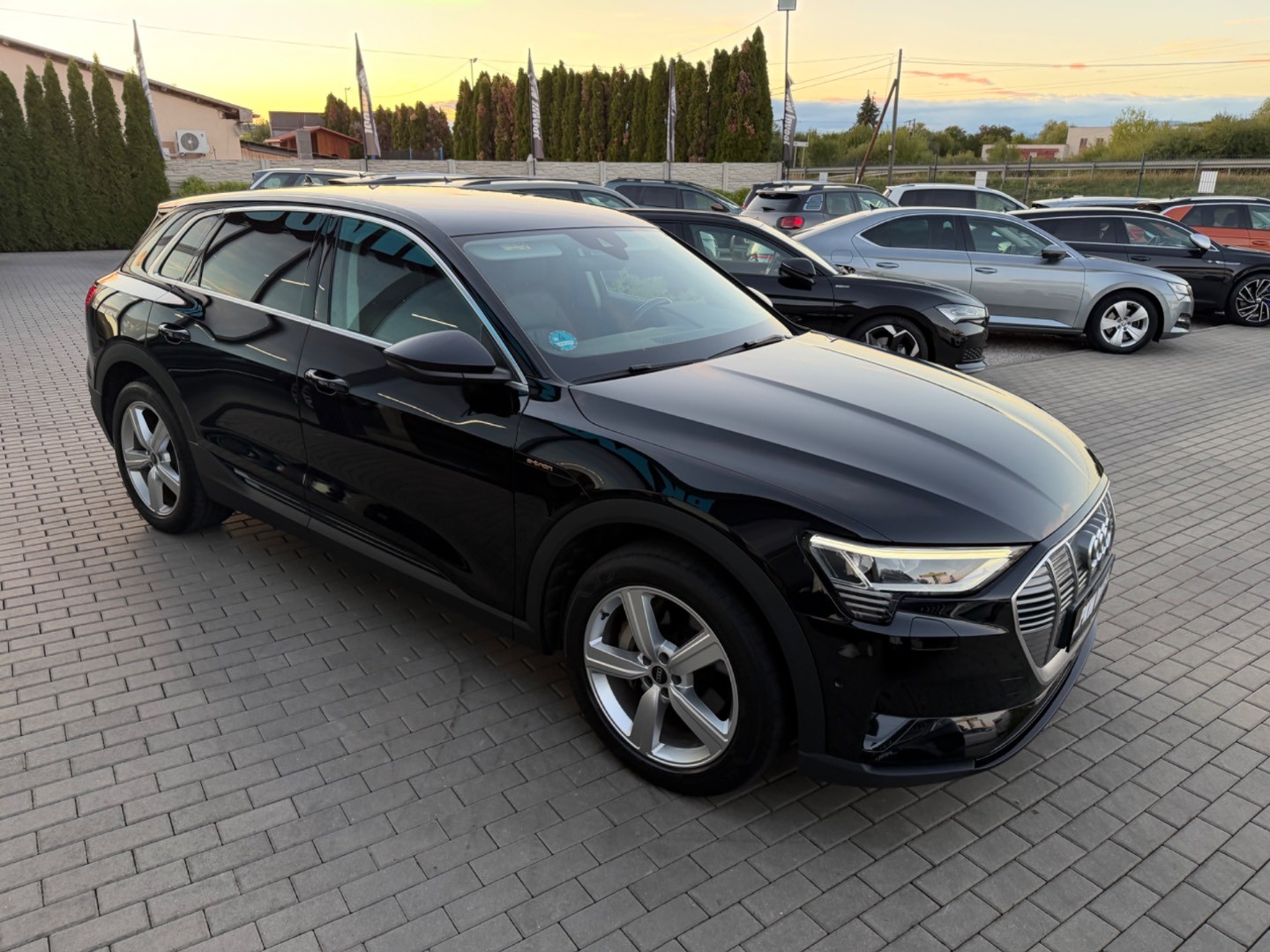 Audi E-tron 55 Quattro 300kW SOH 91,8%