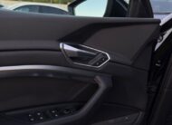 Audi E-tron 55 Quattro 300kW SOH 91,8%