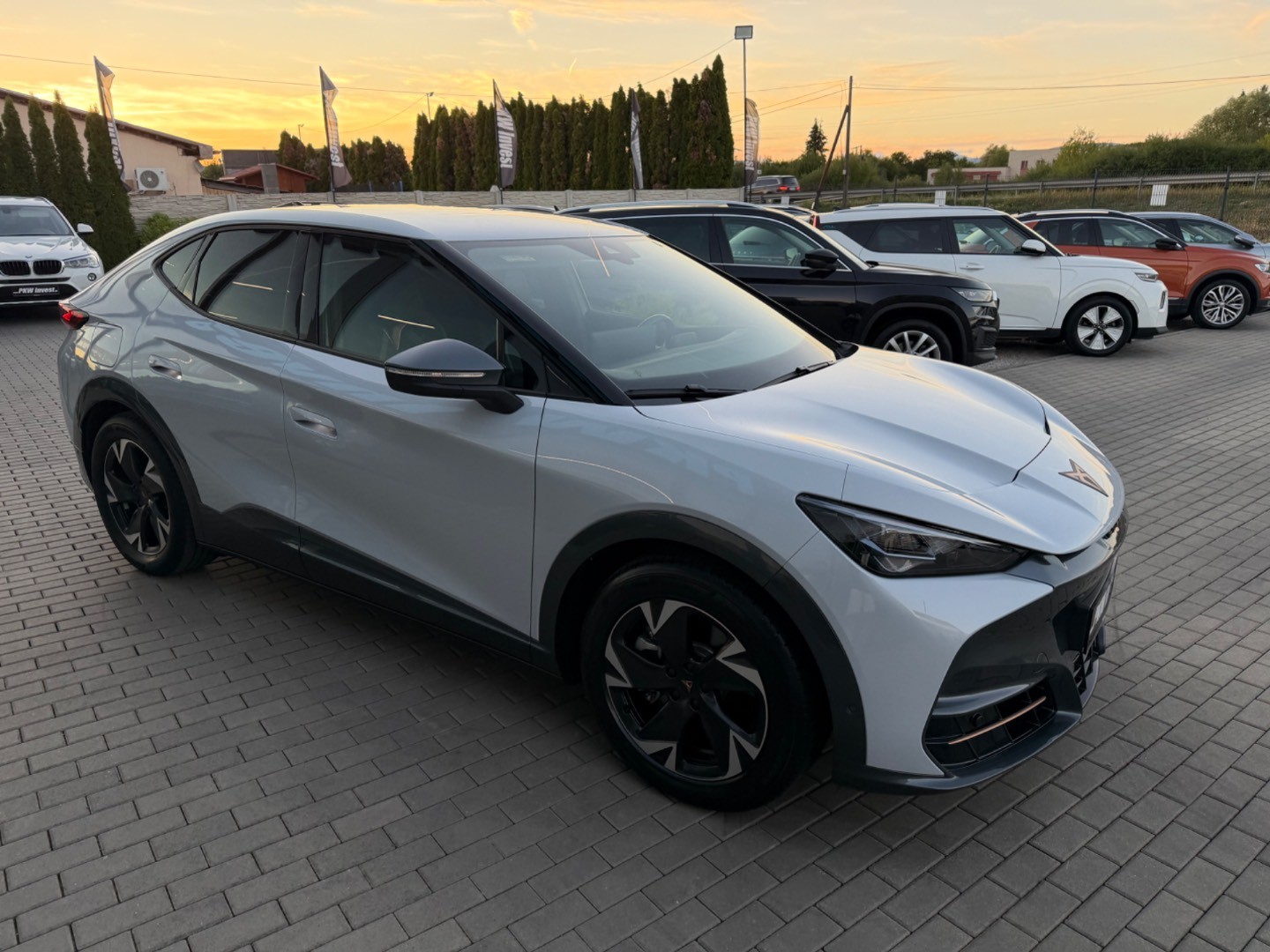 Cupra Tavascan Endurance 210kW 2WD *ZÁRUKA+SOH 100%*