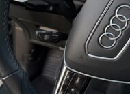 Audi E-tron 55 Quattro 300kW SOH 91,8%