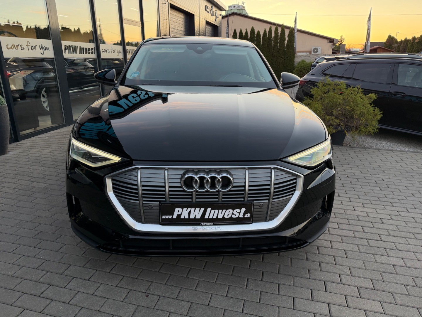 Audi E-tron 55 Quattro 300kW SOH 91,8%