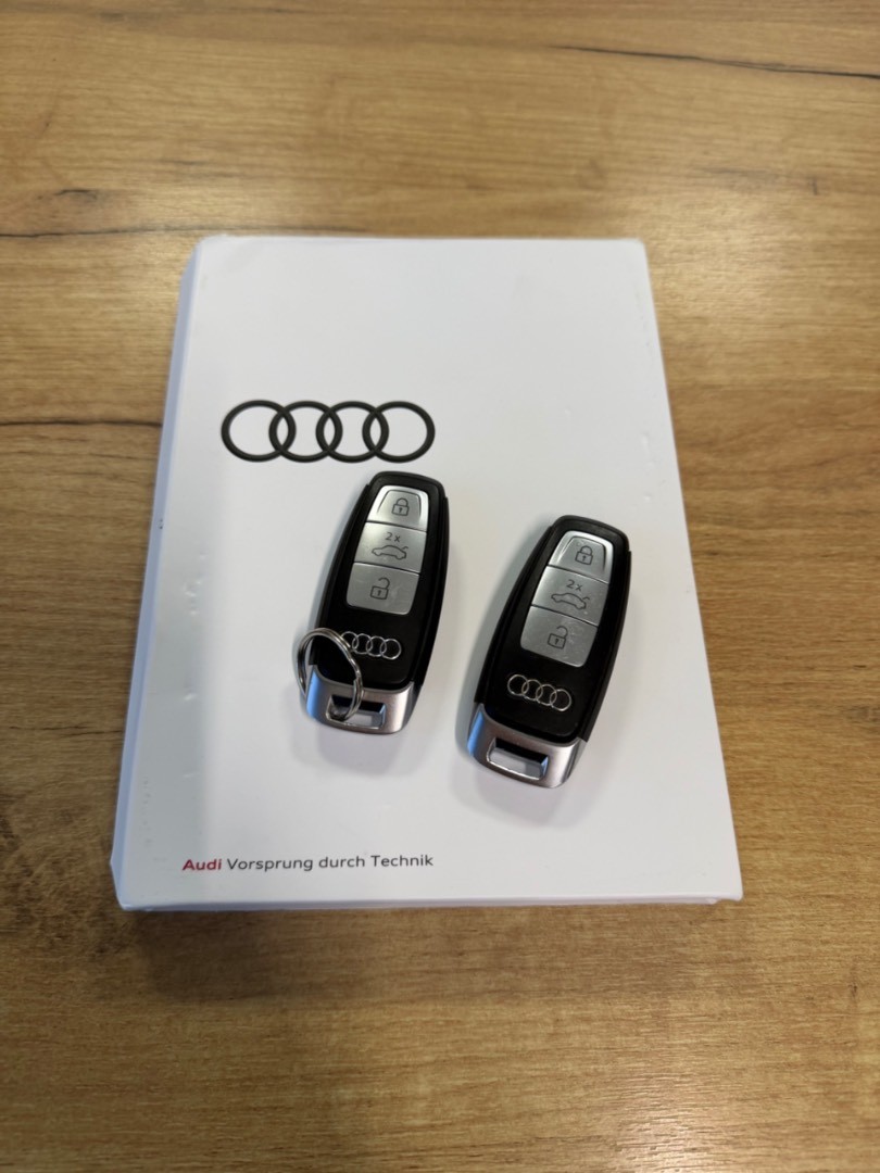 Audi E-tron 55 Quattro 300kW SOH 91,8%