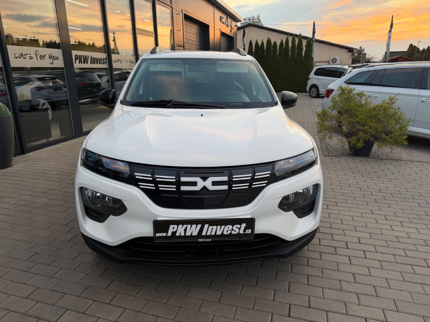 Dacia Spring 33kW Expression SK ŠPZ SOH 91,8%