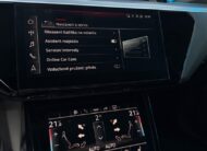 Audi E-tron 55 Quattro 300kW SOH 91,8%