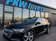 Audi E-tron 55 Quattro 300kW SOH 91,8%