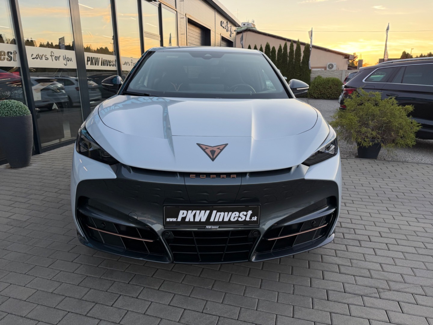 Cupra Tavascan Endurance 210kW 2WD *ZÁRUKA+SOH 100%*