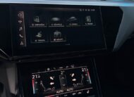 Audi E-tron 55 Quattro 300kW SOH 91,8%