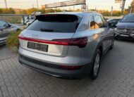 Audi E-tron 55 Quattro 300kW SOH 94,7%