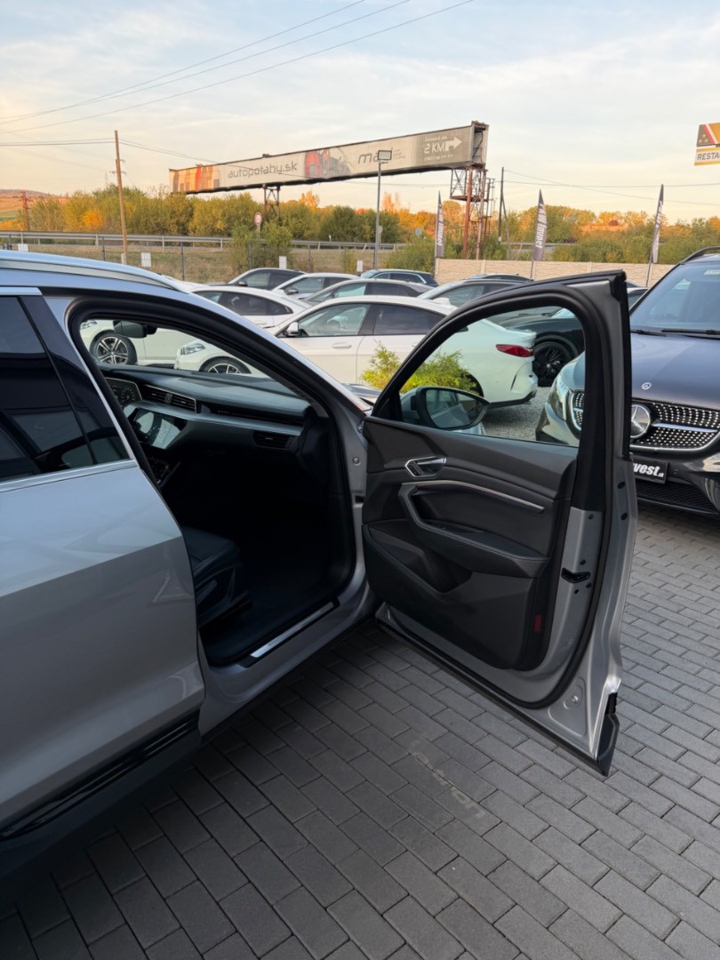 Audi E-tron 55 Quattro 300kW SOH 94,7%