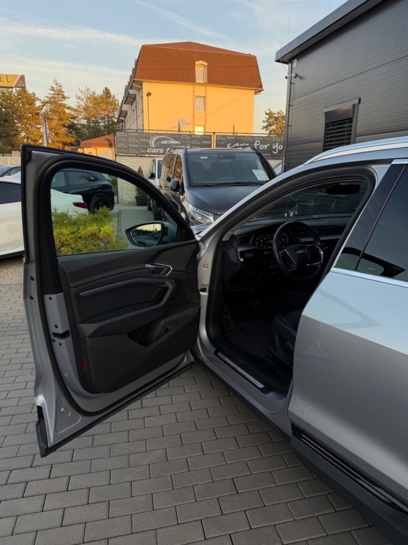 Audi E-tron 55 Quattro 300kW SOH 94,7%