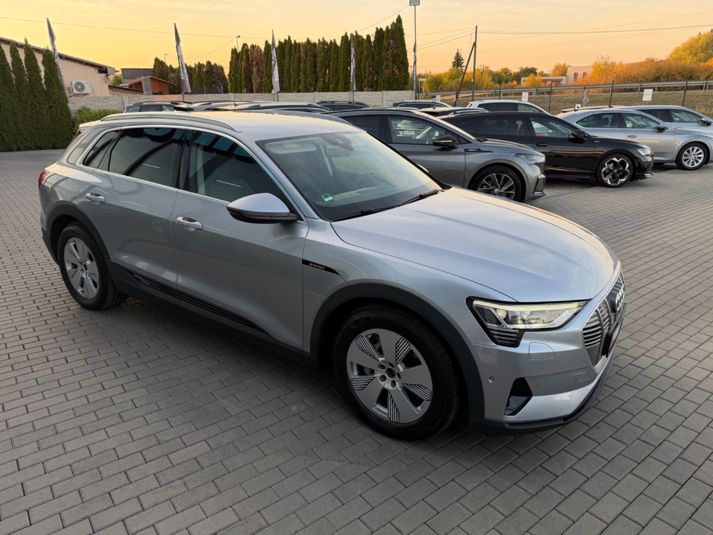 Audi E-tron 55 Quattro 300kW SOH 94,7%