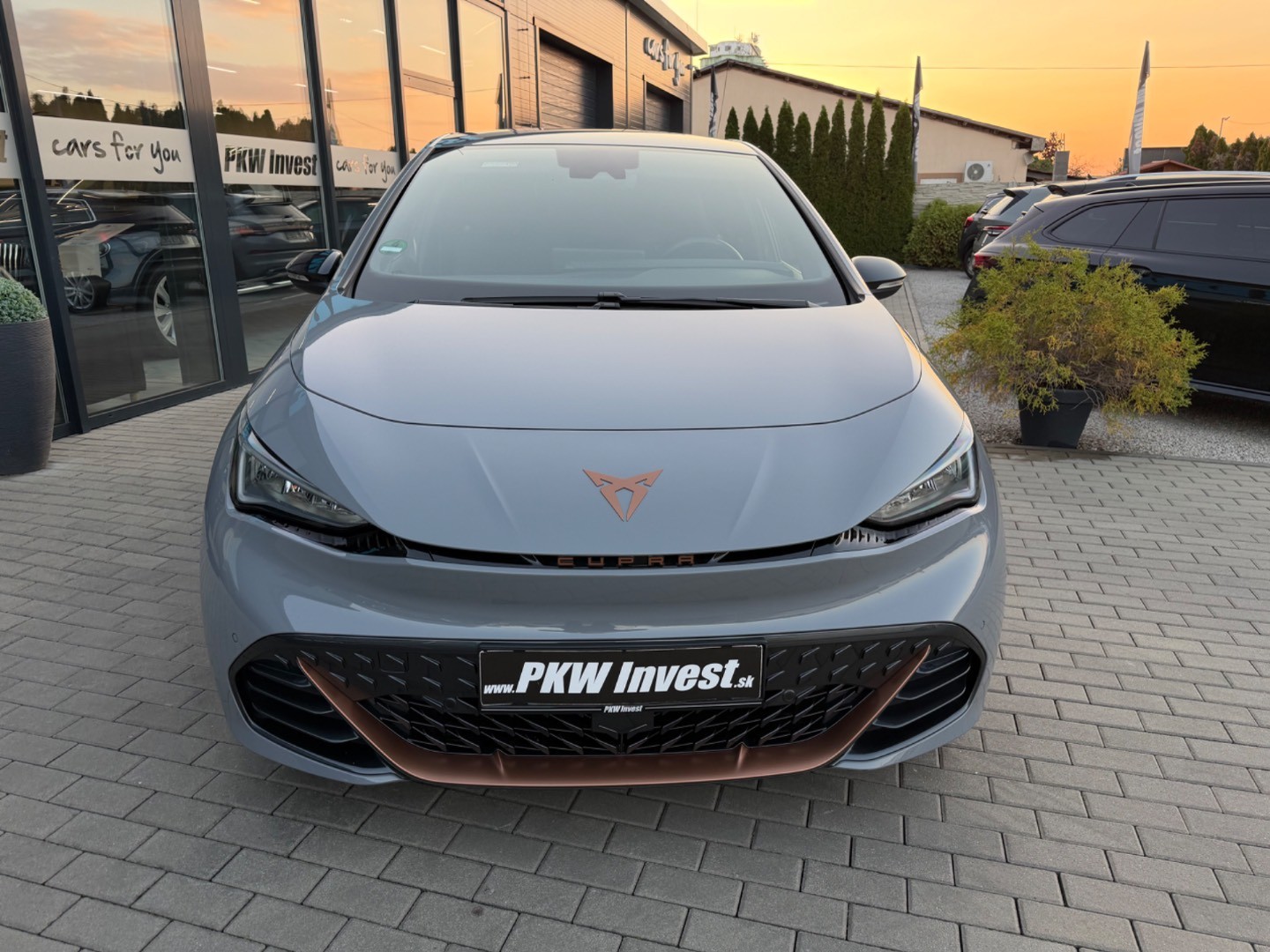 Cupra Born 62kWh SOH 96,2%