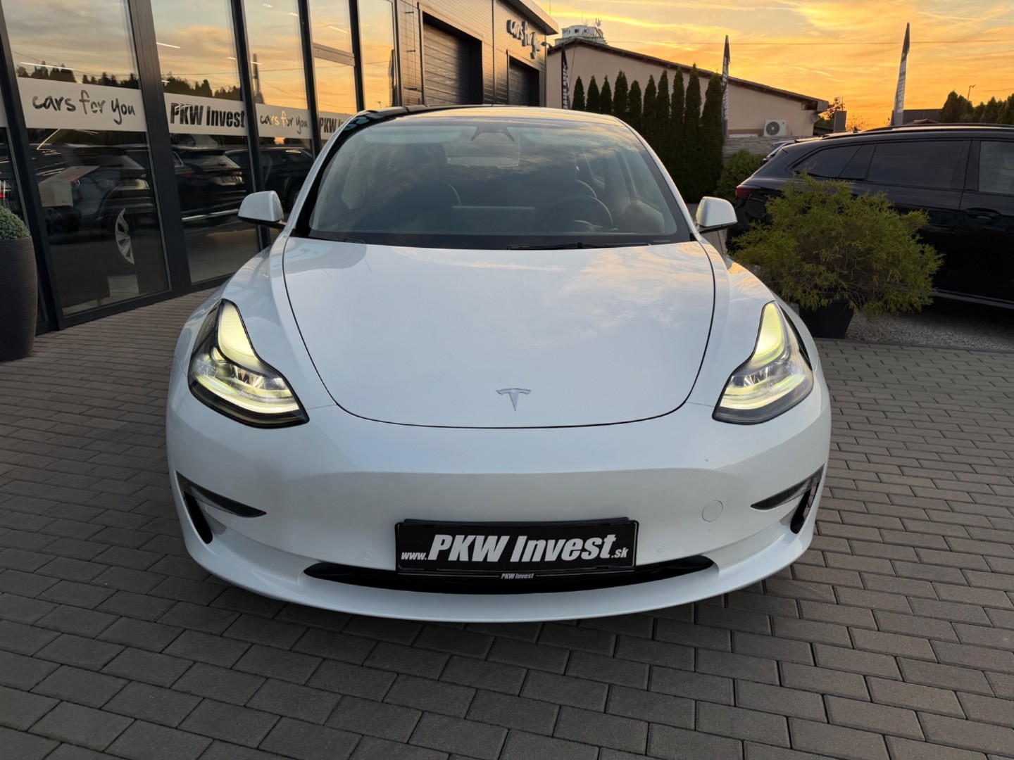 Tesla Model 3 Performance 82kWh AWD