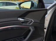 Audi E-tron 55 Quattro 300kW SOH 94,7%