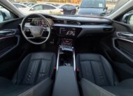 Audi E-tron 55 Quattro 300kW SOH 94,7%