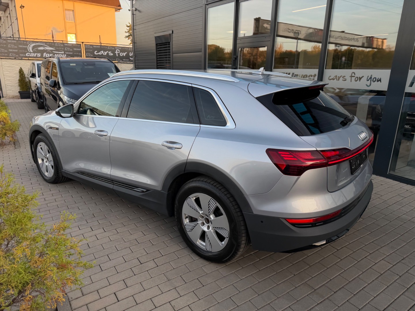 Audi E-tron 55 Quattro 300kW SOH 94,7%
