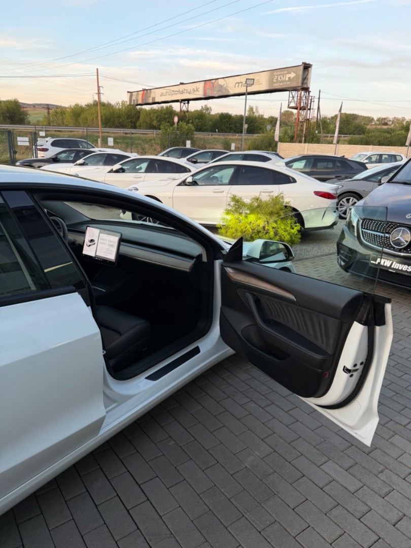 Tesla Model 3 Performance 82kWh AWD
