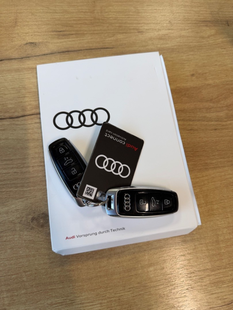 Audi E-tron 55 Quattro 300kW SOH 94,7%