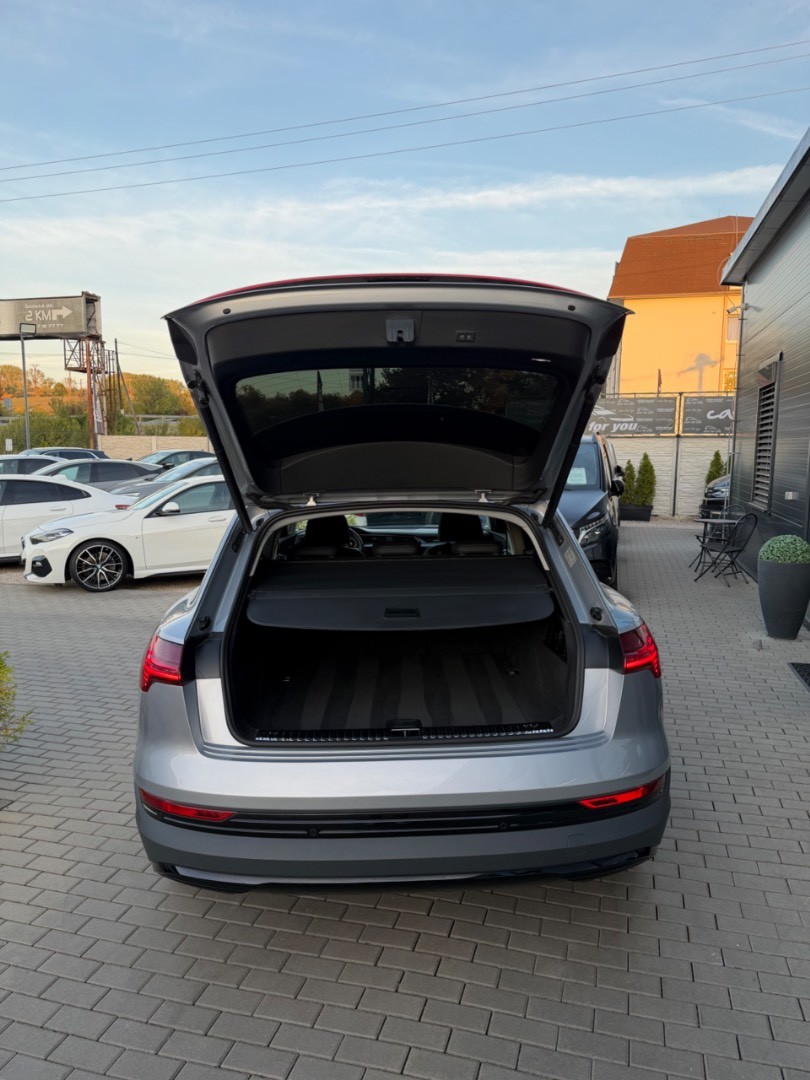 Audi E-tron 55 Quattro 300kW SOH 94,7%